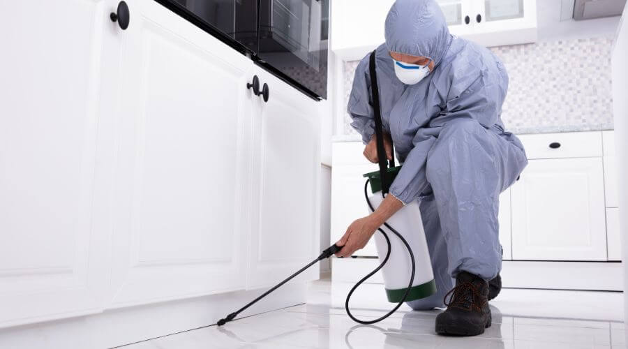 CrossTrail Pest Services - Professional residential pest control ...